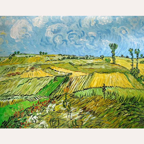 Pola pszenicy - Vincent van Gogh