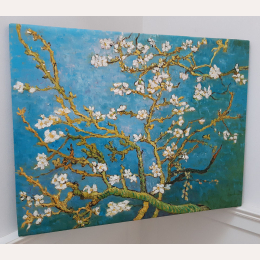 Kwitnący migdałowiec Gogh