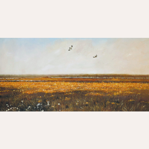 Kaczeńce - Józef Chełmoński
