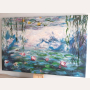 Obraz Nenufary Monet
